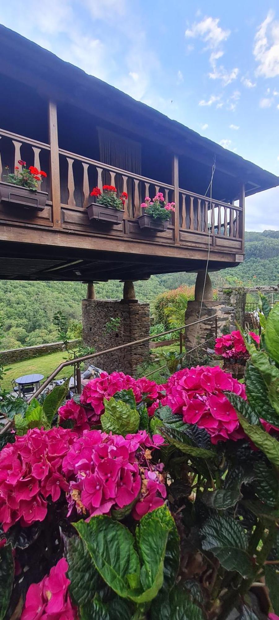 Apartamentos Rurales El Bosque De Las Vinas Boal Buitenkant foto