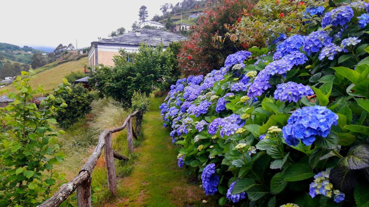 Apartamentos Rurales El Bosque De Las Vinas Boal Buitenkant foto